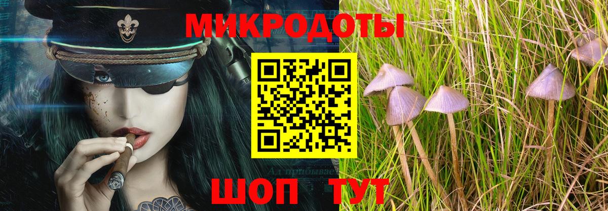 Галлюциногенные грибы прущие грибы  как найти   Псилоцибиновые грибы мицелий  Чусовой  Вход с VPN 
