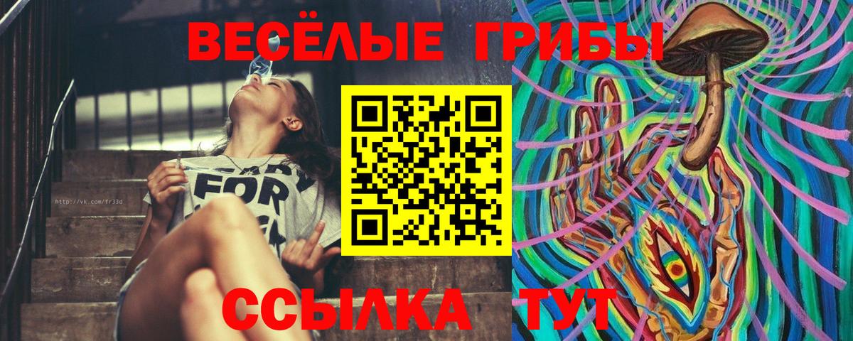 Псилоцибиновые грибы Psilocybine cubensis Чусовой